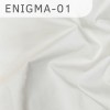 Enigma-01 