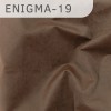 Enigma-19 