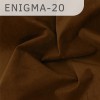 Enigma-20 