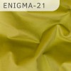 Enigma-21 