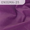 Enigma-25 