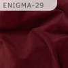 Enigma-29 