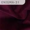 Enigma-31 