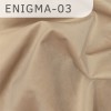 Enigma-03 